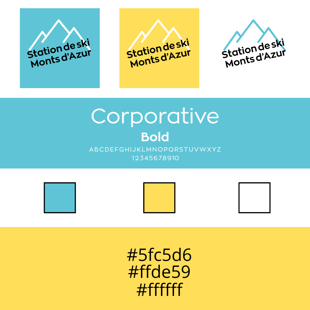 identité-visuelle-kaleidolink-graphiste-savoie