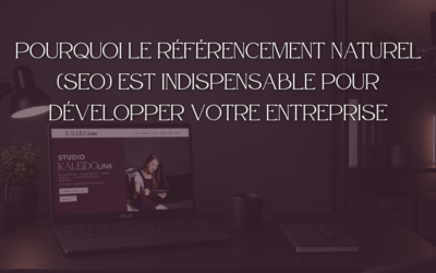 Pourquoi le référencement naturel (SEO) est indispensable pour développer votre entreprise en Savoie, Haute-Savoie, Ain et Isère