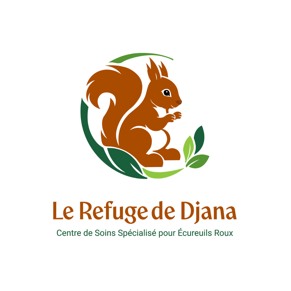 Studio KaleidoLink — Graphiste & illustratrice indépendante dans l’Ain-Logo le Refuge de Djana Studio KaleidoLink — Graphiste & illustratrice indépendante dans l’Ain-Logo le Refuge de Djana