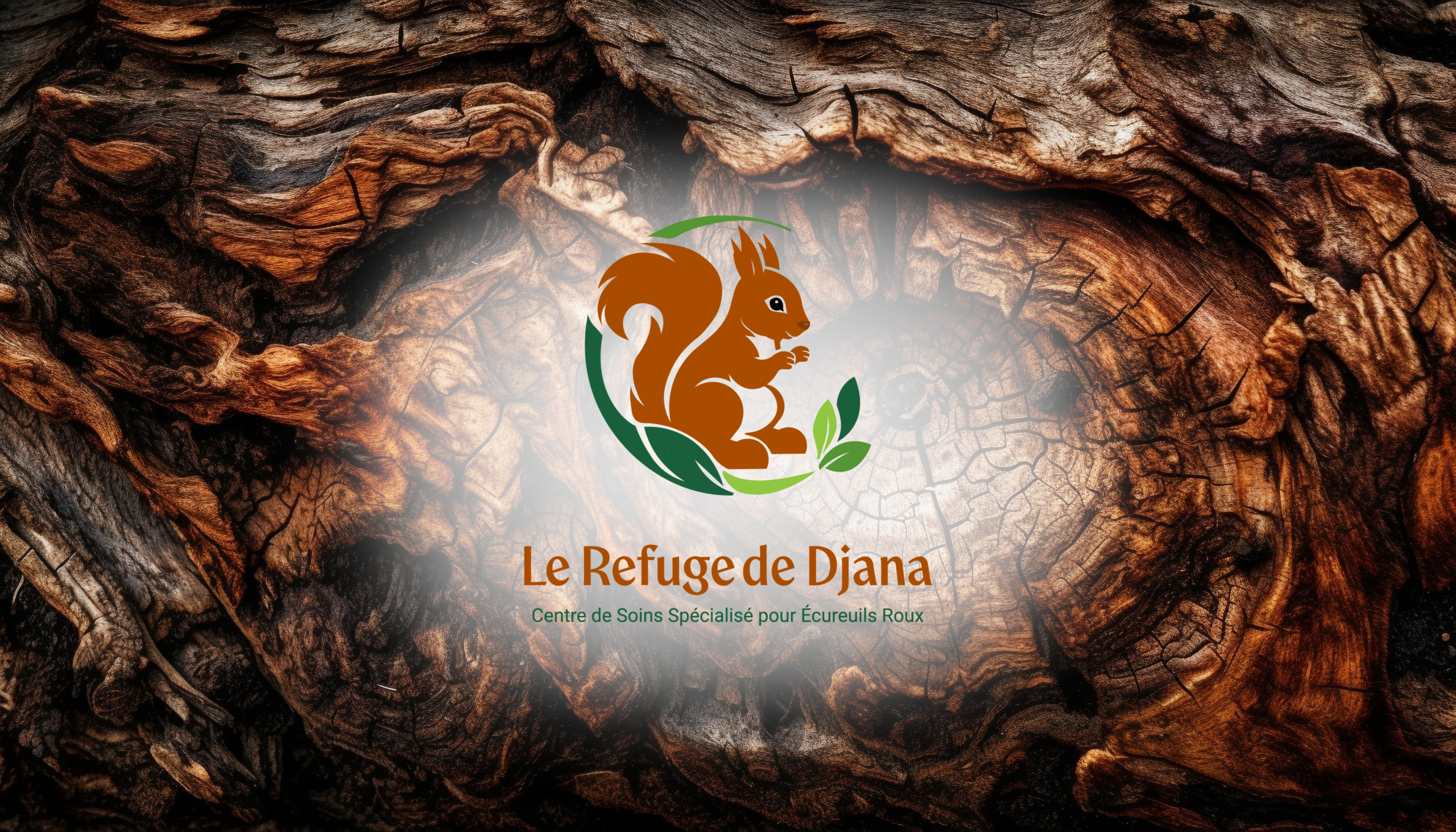 Studio KaleidoLink — Graphiste & illustratrice indépendante dans l’Ain- accompagnement le Refuge de Djana